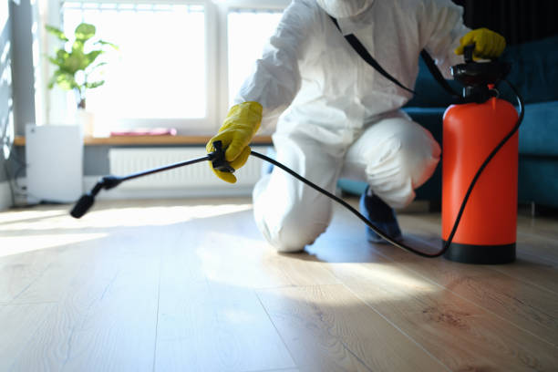 Reliable Infectious Disease Decontamination contractor in Douglas, AZ by Trauma Clean Pros